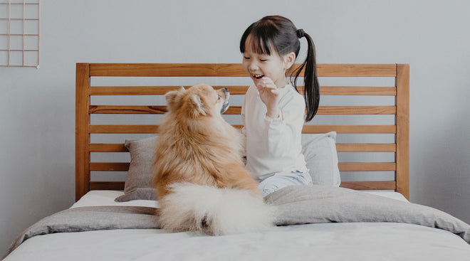 A little girl with a dog on a chemical free mattress